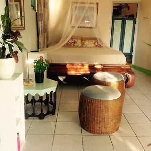 Apartamento Magical Garden Savaneta Exterior photo