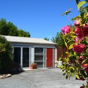 Mcwilliam Apartments Christchurch Exterior photo
