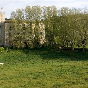 Château d'Esparron Exterior photo