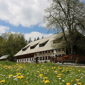 Bed and Breakfast Gasthaus Staude à Triberg im Schwarzwald Exterior photo