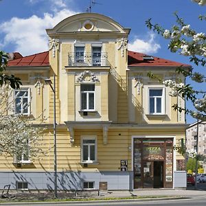 Homely Apartments Villa Christiana Marianske Lazne Exterior photo