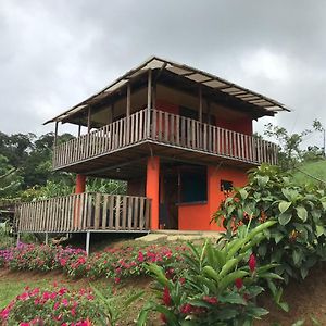 Villa Cabana La Pina Rio Celeste Exterior photo