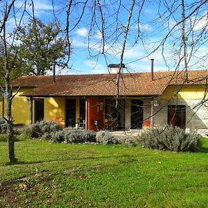 Casa Das Palmeiras-Pedagogic Farm Mangualde Exterior photo