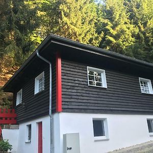 Villa Blockhaus im Kuckuckswinkel Schöna Exterior photo