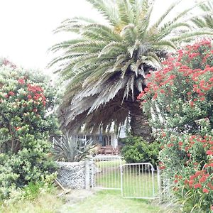 Villa Twin Palms Waikanae Exterior photo