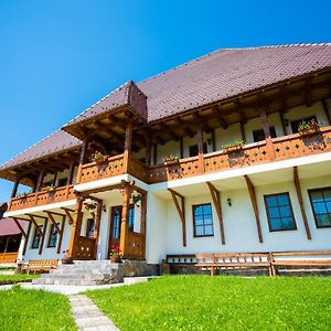 Pensiunea Agroturistica Raluca Villa Vadu Izei Exterior photo