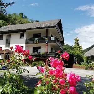 Apartment Panorama & Bella Vista Bohinjska Bela Exterior photo