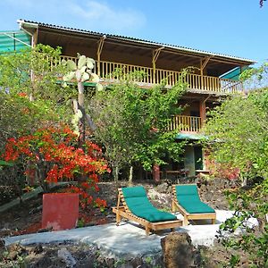 Galapagos Chalet Puerto Ayora (Galapagos Islands) Exterior photo