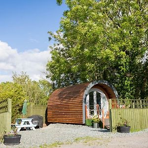 Buttles Glamping Pod Hotel Saundersfoot Exterior photo