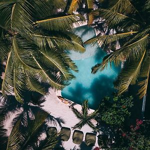 Zorba Tulum Beach Homes Exterior photo