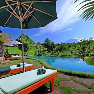 Abian Ayu Villa Sidemen (Bali) Exterior photo