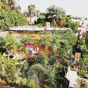 Villa Barefoot By Barefoot In Tunis ‘Izbat an Nāmūs Exterior photo