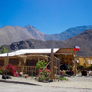 Hotel Astro Camping Experience Vicuña Exterior photo