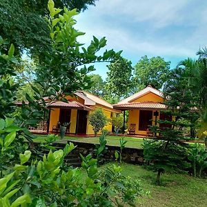 Villa Amazon Cabanas à Tissamaharama Exterior photo