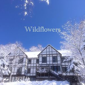 Pension Wildflowers Tateshina (Kitasaku) Exterior photo