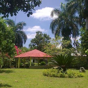 Los Palmares Guest House&Eventos San Cristobal Exterior photo