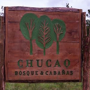 Hotel Chucao Bosque Y Cabanas Chaitén Exterior photo