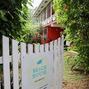 Turtle Beach House Bed and Breakfast Bocas del Toro Exterior photo