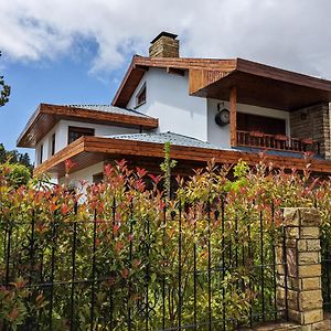 Citizen Kane Lodge - Hospedaje Gourmet San Carlos de Bariloche Exterior photo