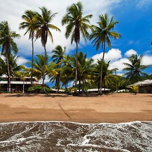 Playa De Oro Lodge Bahia Solano Exterior photo