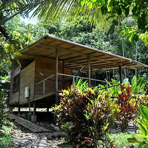 Huella Verde Rainforest Lodge Canelos Exterior photo