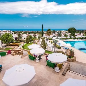 The Olive Tree Hotel Kirenia Exterior photo