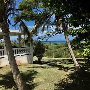 Tranquility By The Sea Vieques Exterior photo