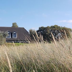 Pension Bakema Ameland Nes (Ameland, Friesland) Exterior photo