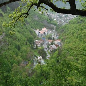 Borjomi Central Park Apartment Exterior photo